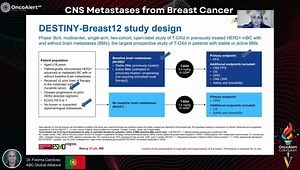 Management of Breast Cancer Brain Metastasis
