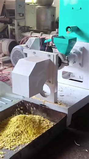 Understanding Extruders: The Dry Extruder Explained