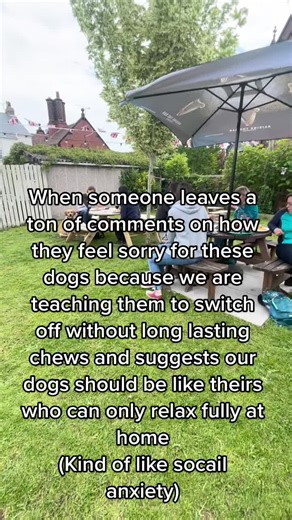 Alpha b Dog Training (@alphabdogtraining)’s videos with