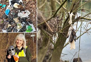 ‘It’s a minefield of muck’: Why are dog owners hanging bags of poo off trees everywhere?