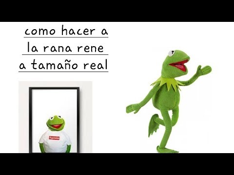 tutorial de como hacer a la rana rene