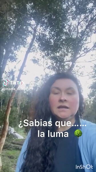 El "árbol luma" se refiere comúnmente a la especie Luma apiculata, que...