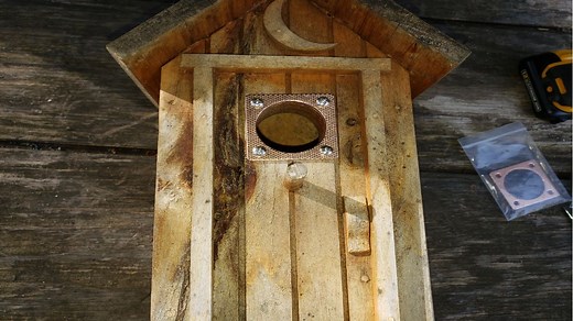 How to Make a Birdhouse Squirrel Proof with Predator Guards