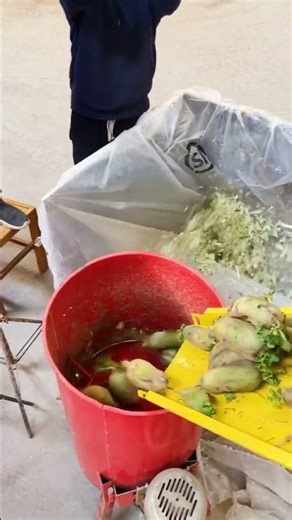 #fcnfm FCNFM's Vegetable Crusher: The Key to Efficient Animal Feed Preparation