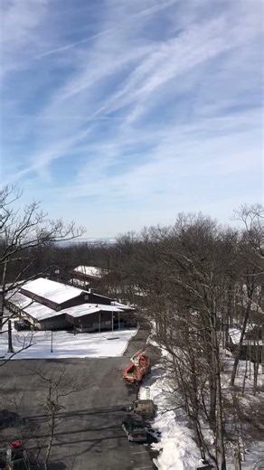 Taking down another hazard oak tree today 🌳