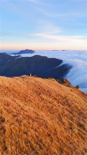 1.4M views · 48K reactions | Mt. Pulag hike for Cagayan Valley & Ilocos Region + Abra, Apayao & Kalinga.  With Region 2 pickup locations in Tuguegarao, Ilagan, Cauayan, Santiago and Region 1 pickup locations in Laoag, Vigan, San Fernando and more locations. PM if interested!  | Travel With Yel | Facebook