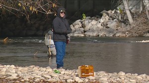 Over 15,000 rainbow trout being stocked this month in Magic Valley