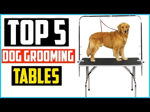 ✅Top 5 Best Dog Grooming Tables in 2024 Reviews