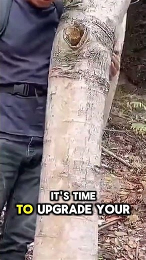 Powerful & Lightweight! Dopard MKODL DX-8012 Brushless Chainsaw | 12-Inch Electric Saw