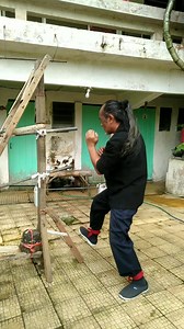 41 reactions · 26 comments | Showcasing Wing Chun Movements: Levels 1 to 7 Experience the art of Wing Chun through Levels 1 to 7 movements. Watch as I demonstrate fluid techniques and precise actions, perfect for martial arts enthusiasts and learners alike. #WingChunTraining #MartialArtsJourney #KungFuPractice #SelfDefenseSkills #WingChunMovements #MartialArtsBeginner #KungFuTechniques #FitnessAndFocus #MartialArtsPassion #WingChunMastery | Santosa Laksana | Facebook