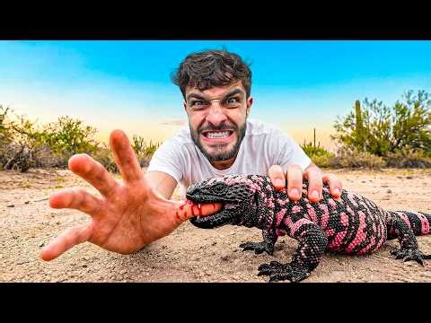 ‼️Mordido Por MONSTRUO DE GILA‼️ - Peores Picaduras #18 (Cas Muero)