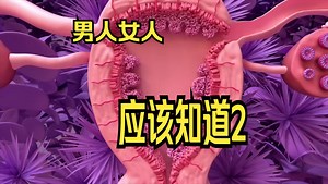 月经周期| 3D 动画 (2/2)The Menstrual Cycle | 3D Animation (2/2)
