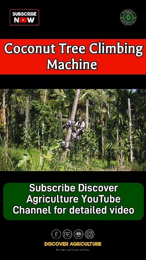 3K views · 27 reactions | Discover the innovation behind our Coconut...