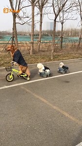 3.3M views · 10K reactions | Ride with me! | Global Times | Facebook