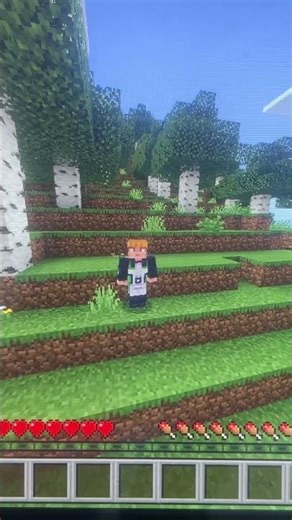 #minecraft #paul&james #challenge