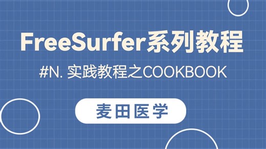 FreeSurfer教程 #N. 实践教程之CookBook