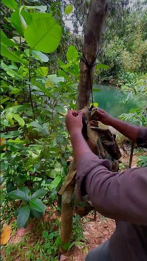✅ Survival Skills | DIY: Crafting a Backpack Hanger in the Wild🌲