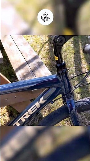 Trek Verve 3 Review: Is It Worth Your Money?