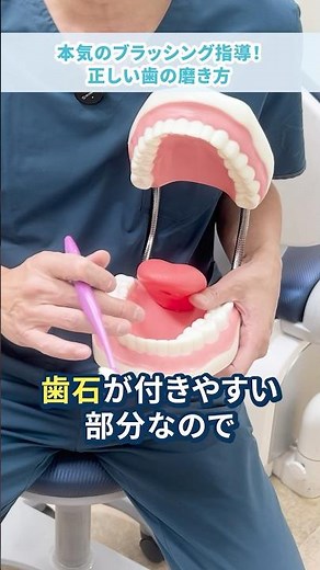 歯科医師のブラッシング指導 #歯ブラシ #歯磨き 歯科オンライン診療