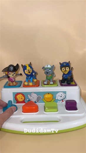 Pirate Dog is out! #shorts #viralshorts #trendingshorts