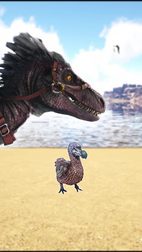 How to Enable Creative Mode in ARK Survival Evolved