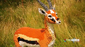 6.5K views · 72 reactions | The LEGO Brick Safari is on now at...