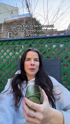 What is the most chaotic/random dog breed combination?