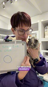 Lizzie gets to see the sexy vet, again. 😂 | Masons' Cavies