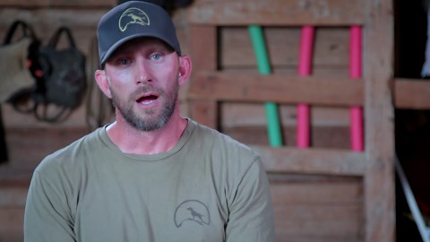 Military canine handler's top 5 home protection dogs