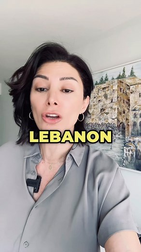 11K views · 242 reactions | I am one of a few who saw both sides of the border, between Lebanon and Israel, as well as between Syria and Israel. The impression most Lebanese and Syrians have of the Israelis is beyond distorted. Without the intensive anti-Israel propaganda, the Levant can be turned into a paradise. #israel #lebanon #syria #peace | Rawan Osman | Facebook