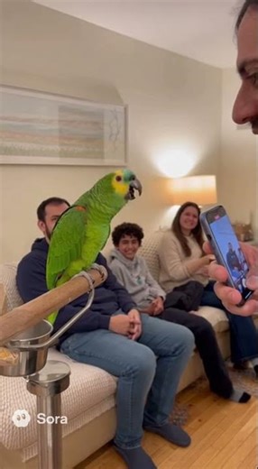 🦜😂 Parrot Pulls Out Funny Gun & Machine Toy! 🔫🤣 Hilarious Pet Moment #shorts #parrot #talkingparot