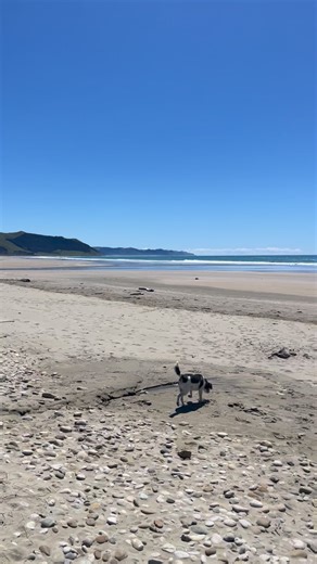 We have been out at Waimārama Beach doing site checks, and had time for a beach walk, what a view! Call Steph today on 0274444262 or www.thosecabins.co.nz | Those Cabins - Portable Cabins for Rent