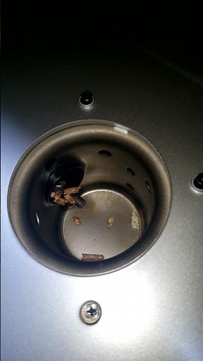 PitBoss Austin XL Seasoning And Burn In