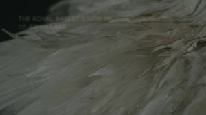 82K views · 1K reactions | IN CINEMAS: Watch the world premiere of...