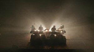 fills monkey sur TikTok