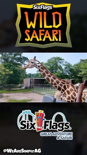 We Finally Tried Six Flags’ Wild Safari! 🦁🎢 #sixflags #sixflagsgreatadventure #wildsafari
