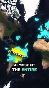 The World’s Map Is Lying To You; Mercator Projection Explained 🌎 #shorts #viral #geography #short