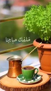 Morning Fairouz songs with coffee #Fairouz #Coffee #Status #Songs #Explore #CalmMusic