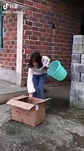 Can't stop laughing 🤣🤣🤣 try itTry not to laugh funny moments | Funny video