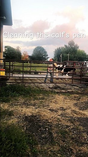 Cleaning the calf’s pen today #cows #agriculture #farmlife