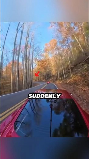 Driver Loses Control on Tail of the Dragon… Then These Guys Step In