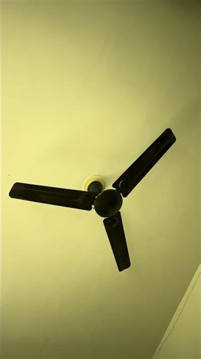 How to turn on light and fan with alexa #shorts