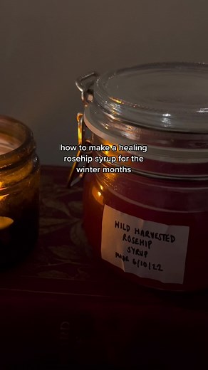 DIY Rosehip Syrup Recipe for Immune Boosting Medicine