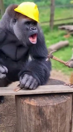Tiny monkey vs grumpy gorilla! 🤣🐒 #gorilla #monkey #aivideo