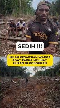 INILAH KESAKSIAN WARGA ADAT PAPUA MELIHAT HUTAN DI ROBOHKAN