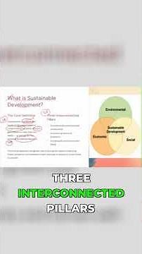 what is sustainable development and its three pillars | SDG Explained