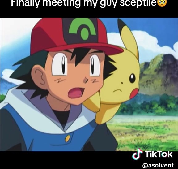 Sceptile Evolution: Meeting My Favorite Pokémon