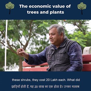 25K views · 1.9K reactions | The economic value of trees and plants | Give Me Trees Trust | Facebook
