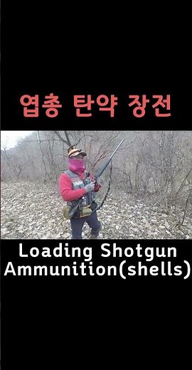 Loading Shotgun Ammunition, shells, Wild Boar Hunting, shorts