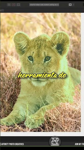 Affinity Photo 2 6 Beta seleccion de objetos Machine Learning 2024